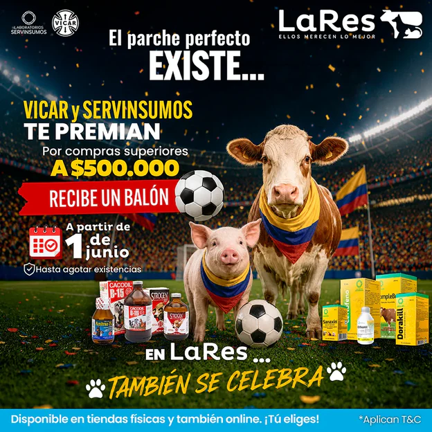 Estilo y Sabor para Mascotas