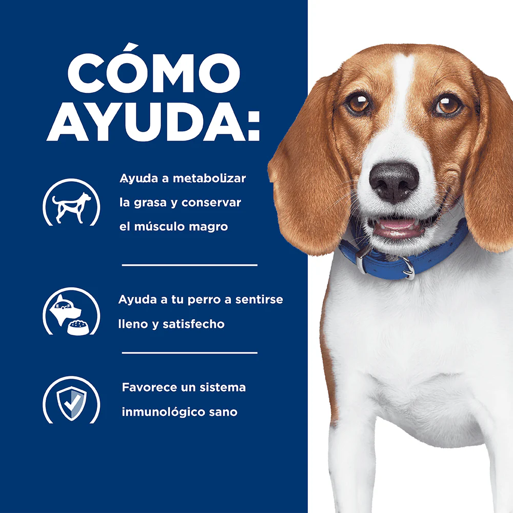 Imagen del producto 3
