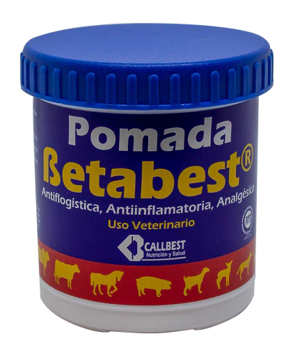 Imagen del producto 4